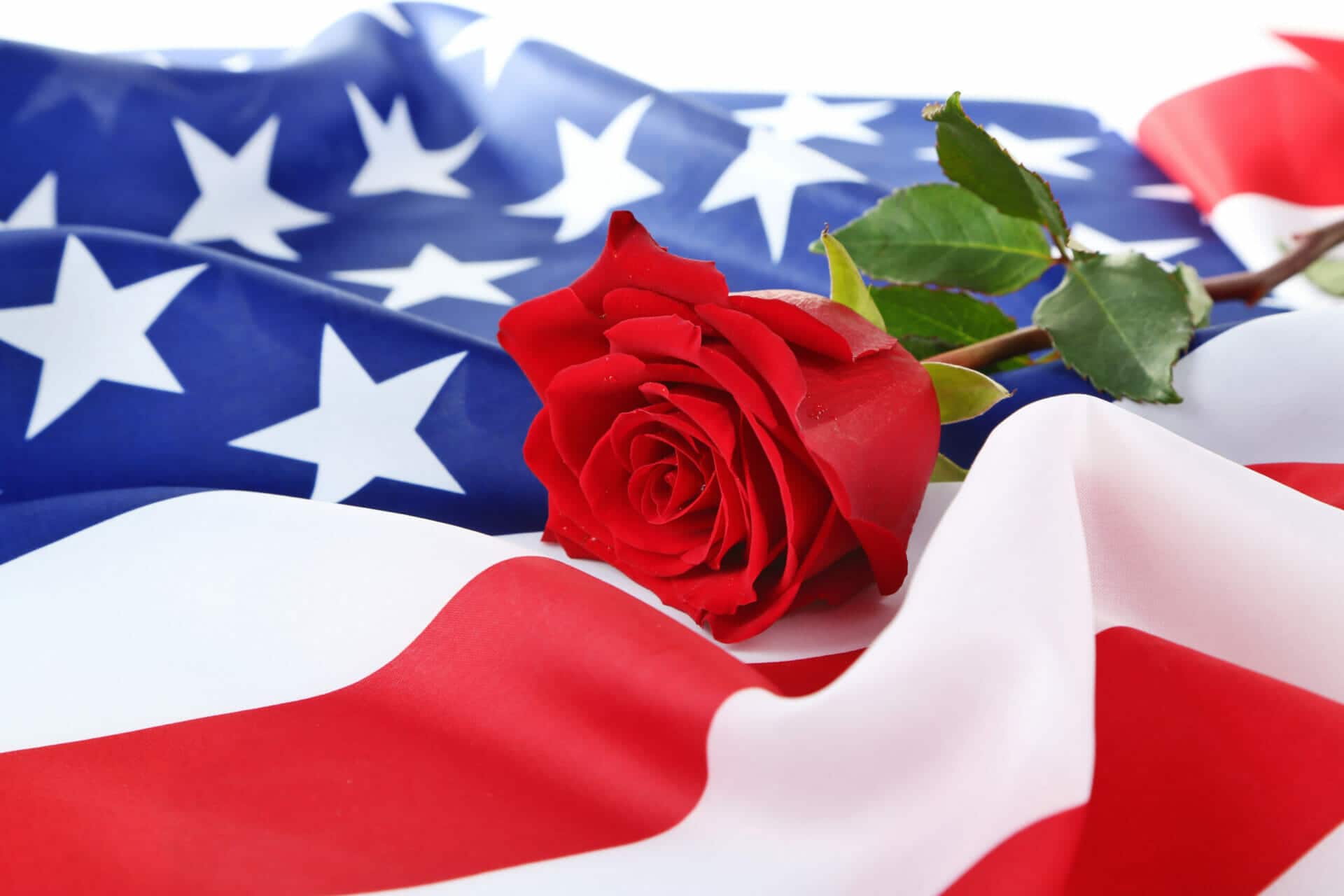 Rose,And,American,Flag,,Closeup